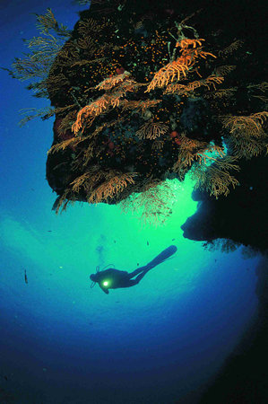 Immersioni a Capo Carbonara, Sardegna